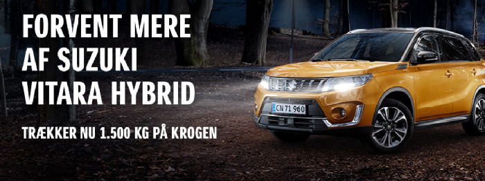banner_vitara